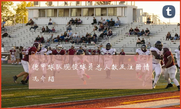 德甲球队现役球员总人数及注册情况介绍