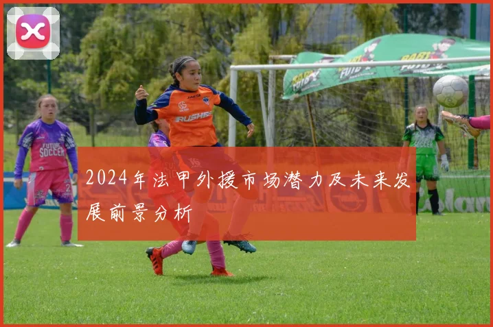 2024年法甲外援市场潜力及未来发展前景分析