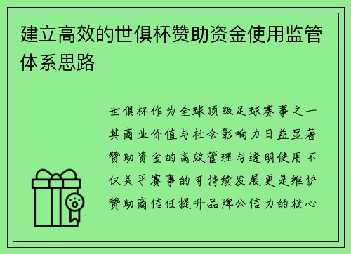 建立高效的世俱杯赞助资金使用监管体系思路